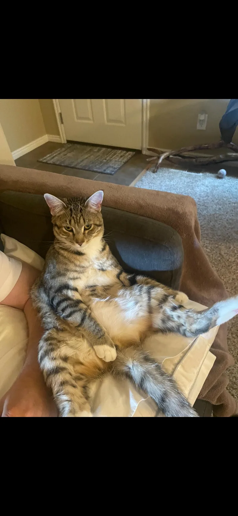 Maverick thumbnail 2