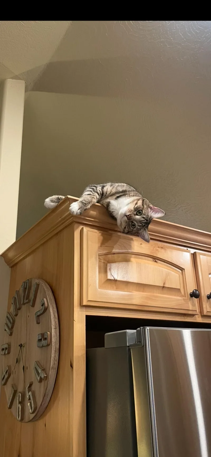 Maverick thumbnail 3