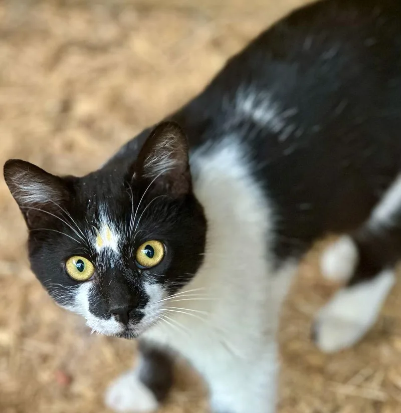 Bobbi C Jones thumbnail 3