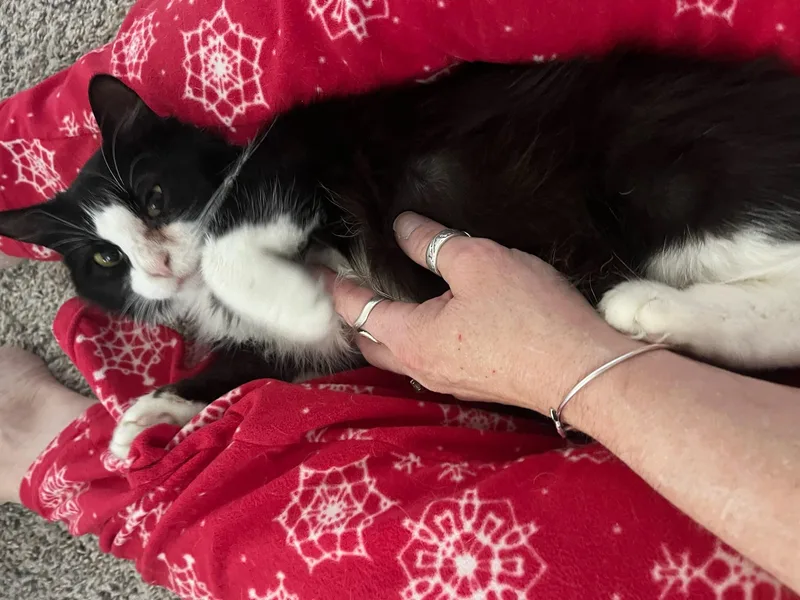 Celby "kelby" thumbnail 2