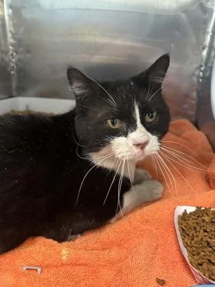 60736202 thumbnail 2