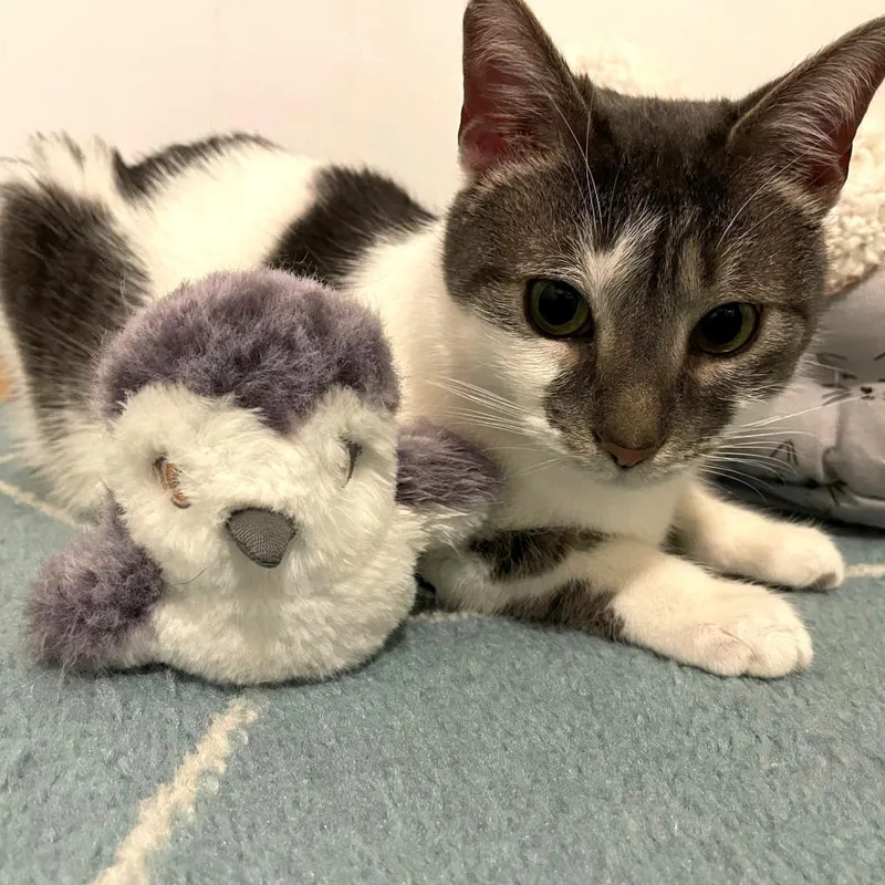 Mabel Wright thumbnail 2