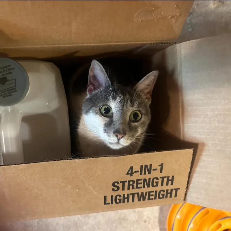 Mabel Wright thumbnail 3