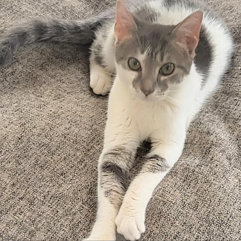 Mabel Wright thumbnail 4