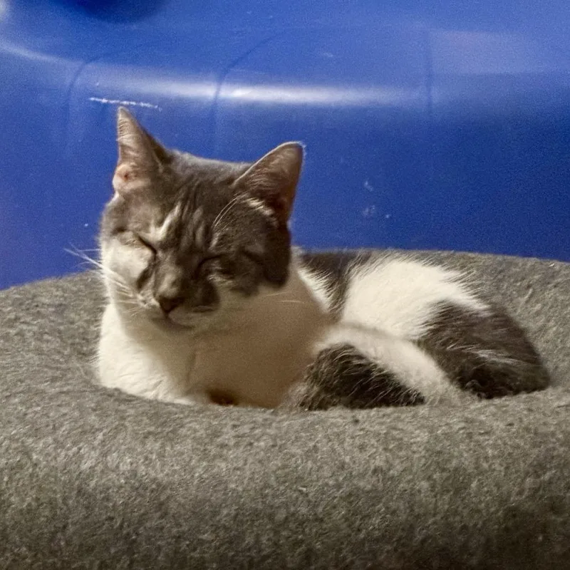 Mabel Wright thumbnail 5