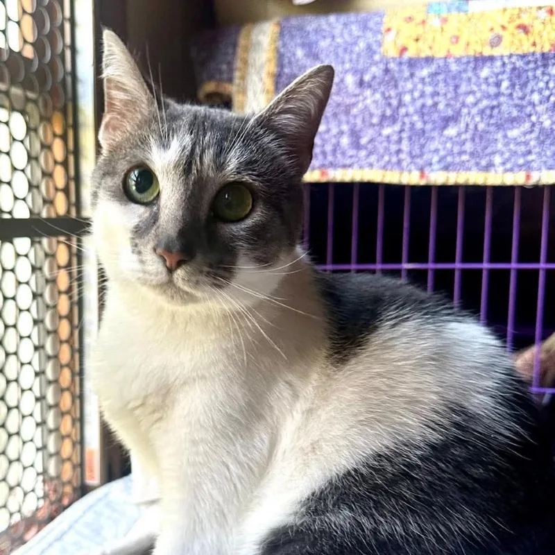 Mabel Wright thumbnail 6