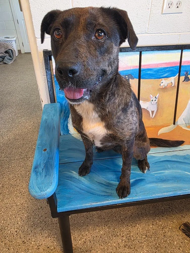 Savannah
