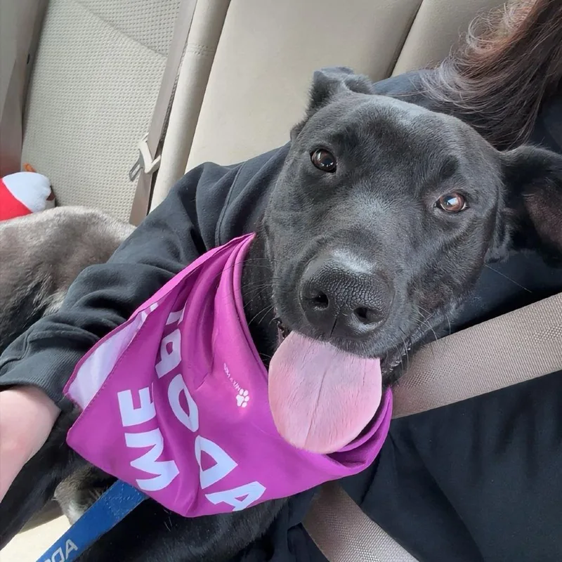 Midnight thumbnail 2