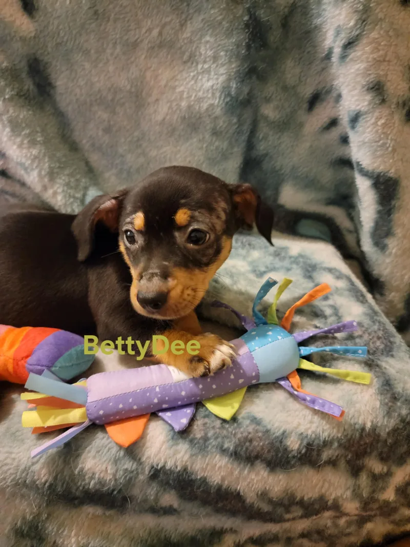 Betty Dee
