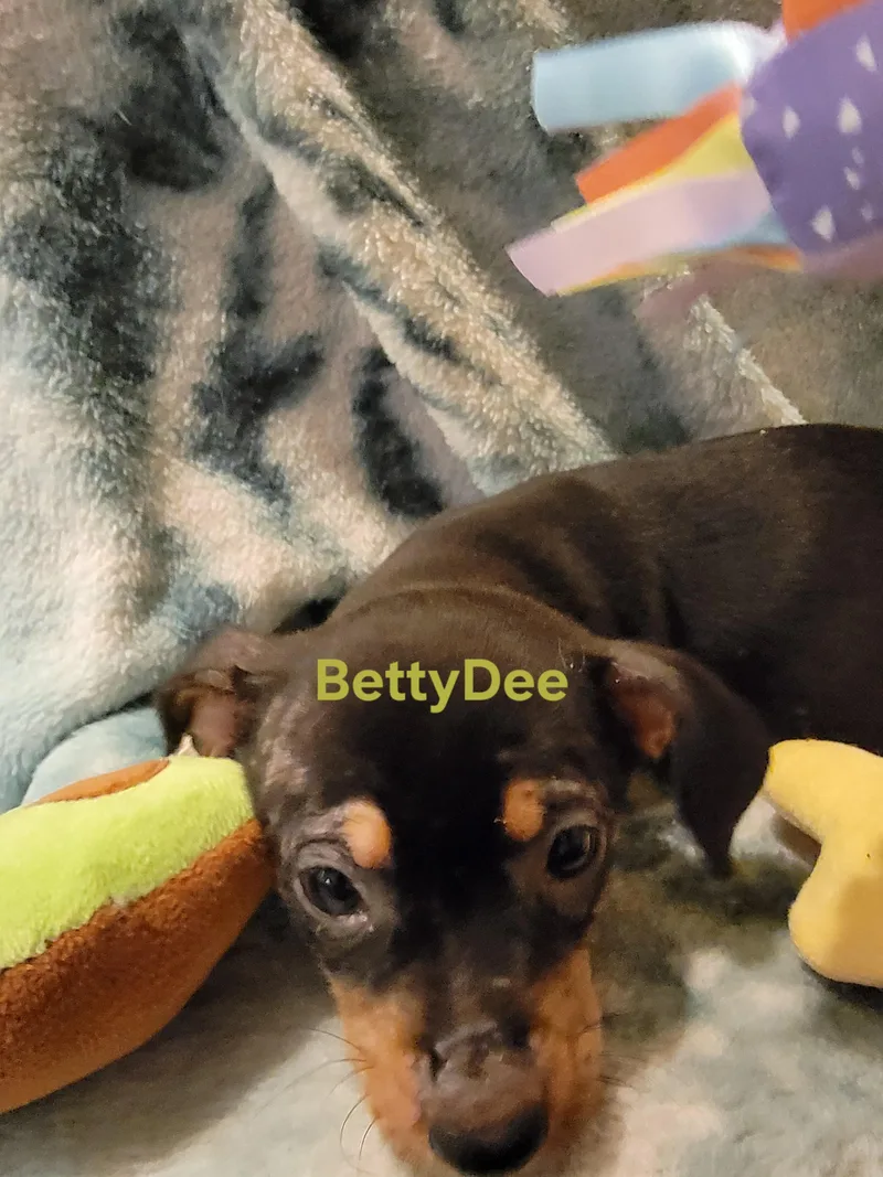 Betty Dee thumbnail 2