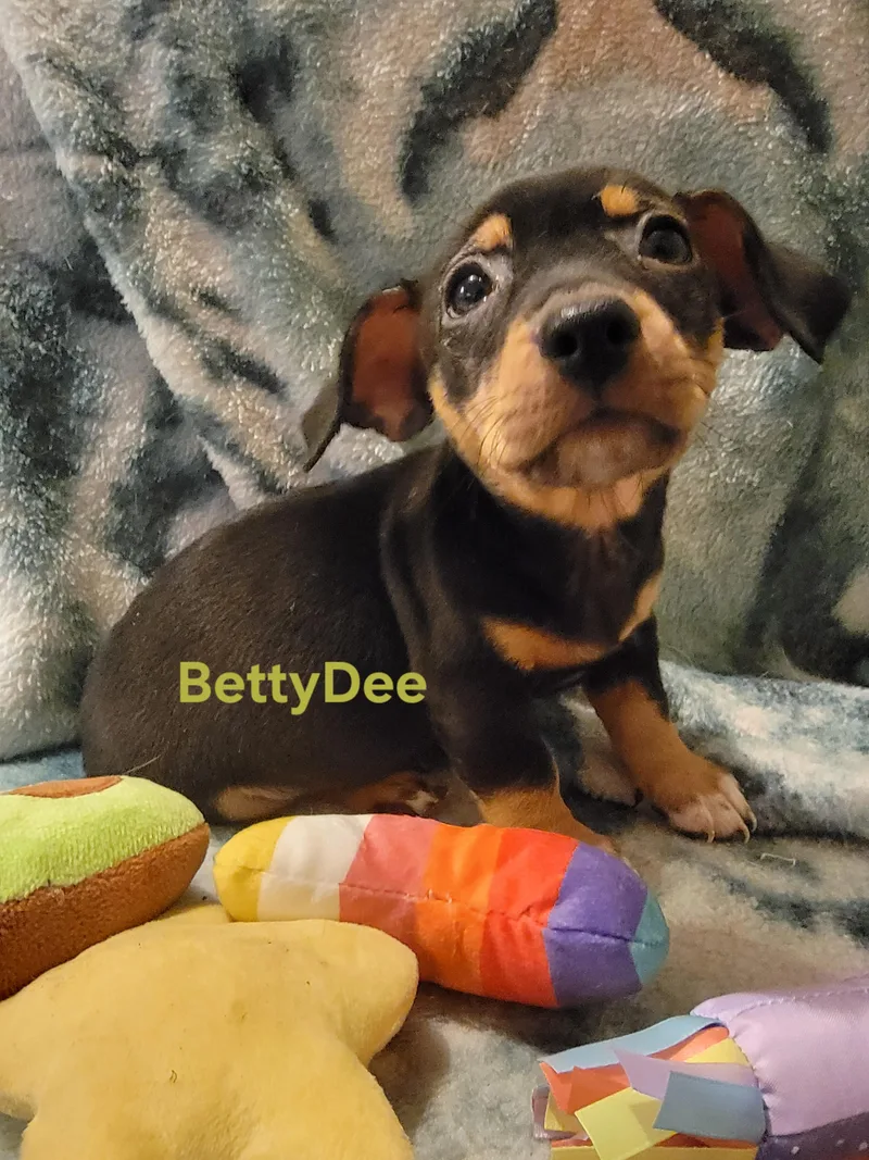 Betty Dee thumbnail 4