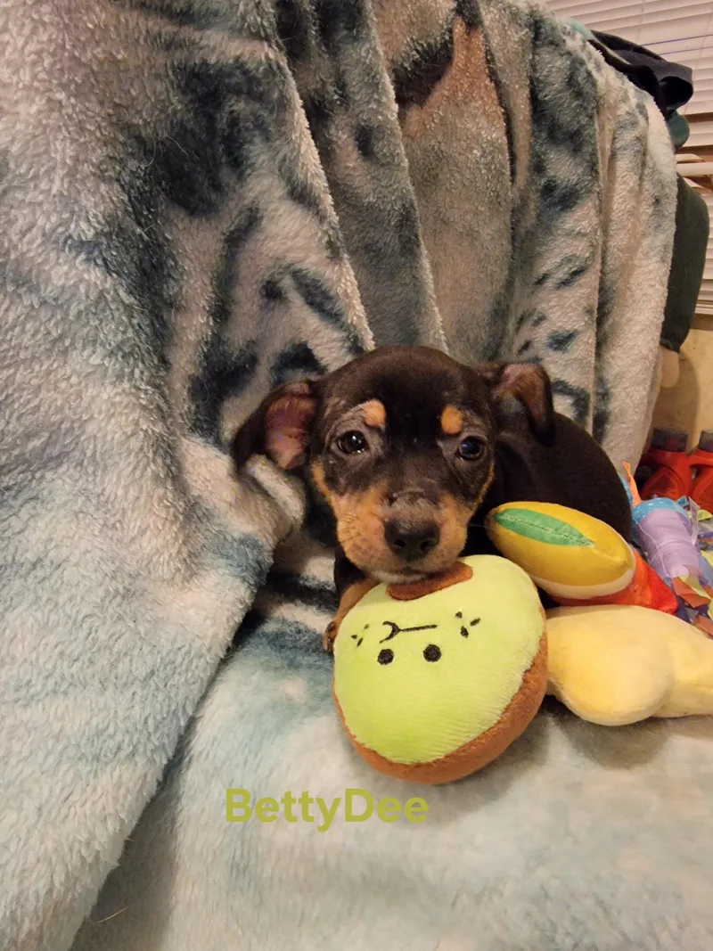 Betty Dee thumbnail 5