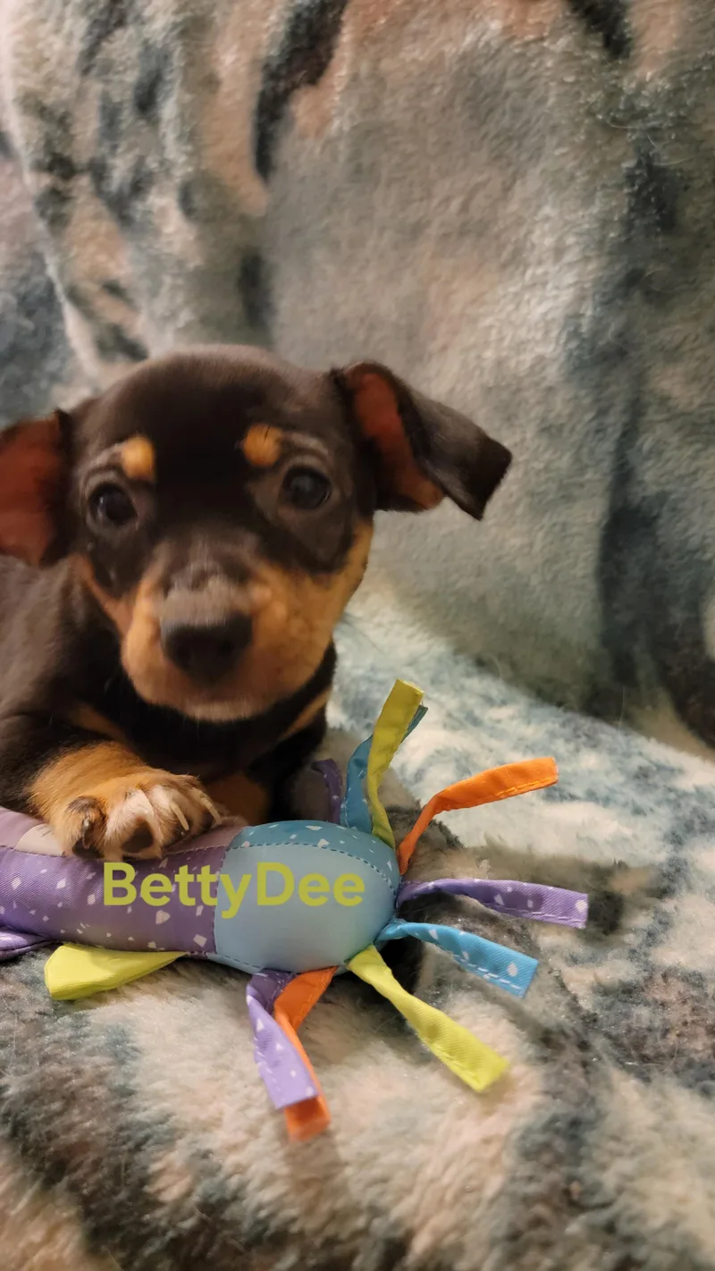 Betty Dee thumbnail 6
