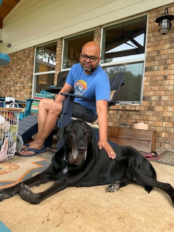 A senior large-sized male Mixed Breed dog named Knox for adoption in Austin, TX