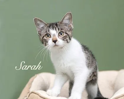 Sarah thumbnail 2