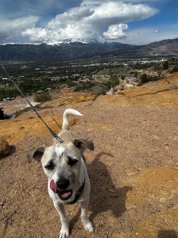 Eddie thumbnail 2