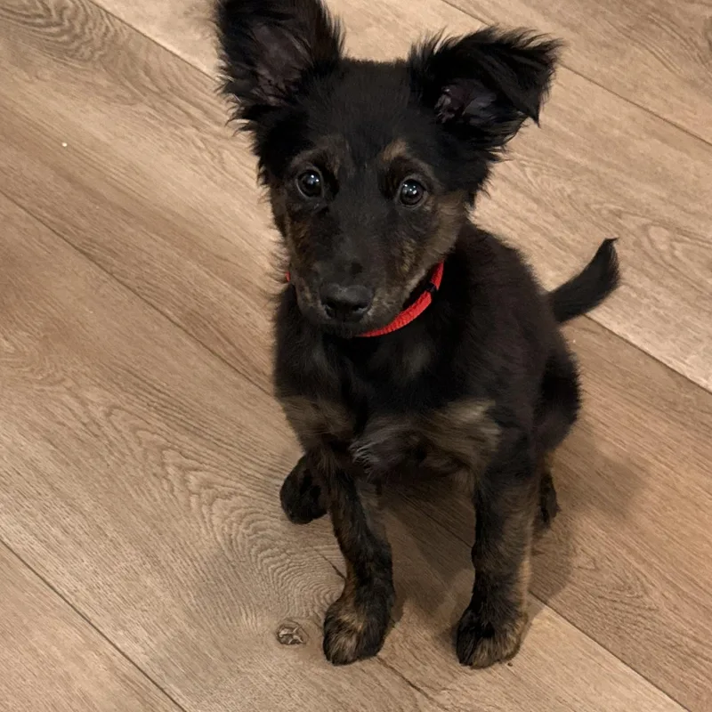 Ms. Marvelous Erika thumbnail 2