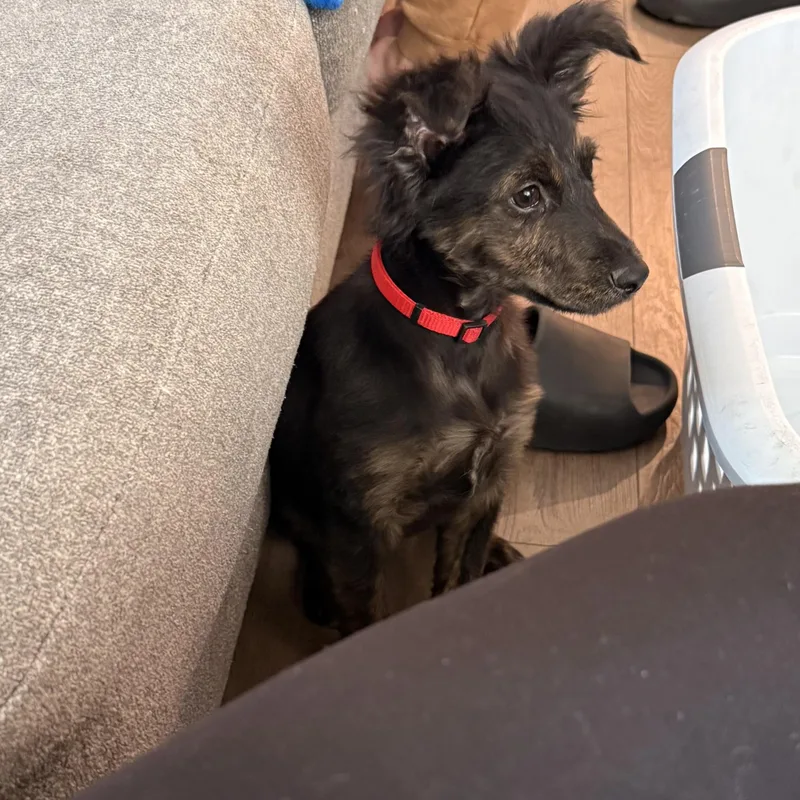 Ms. Marvelous Erika thumbnail 3