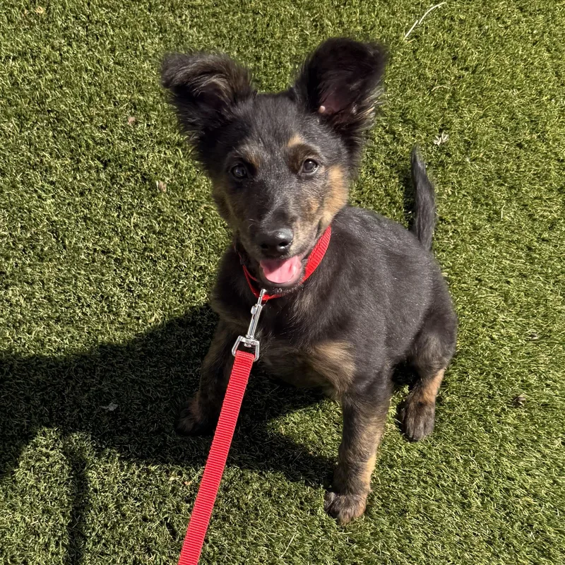 Ms. Marvelous Erika thumbnail 4