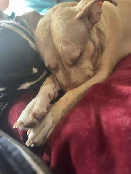 Chloe thumbnail 2