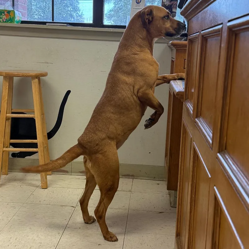 Cristina thumbnail 2