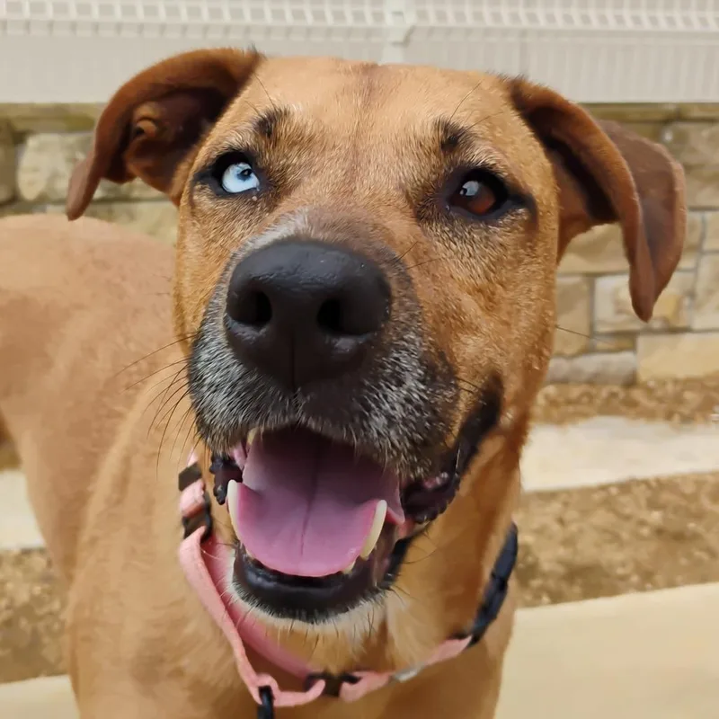 Cristina thumbnail 3