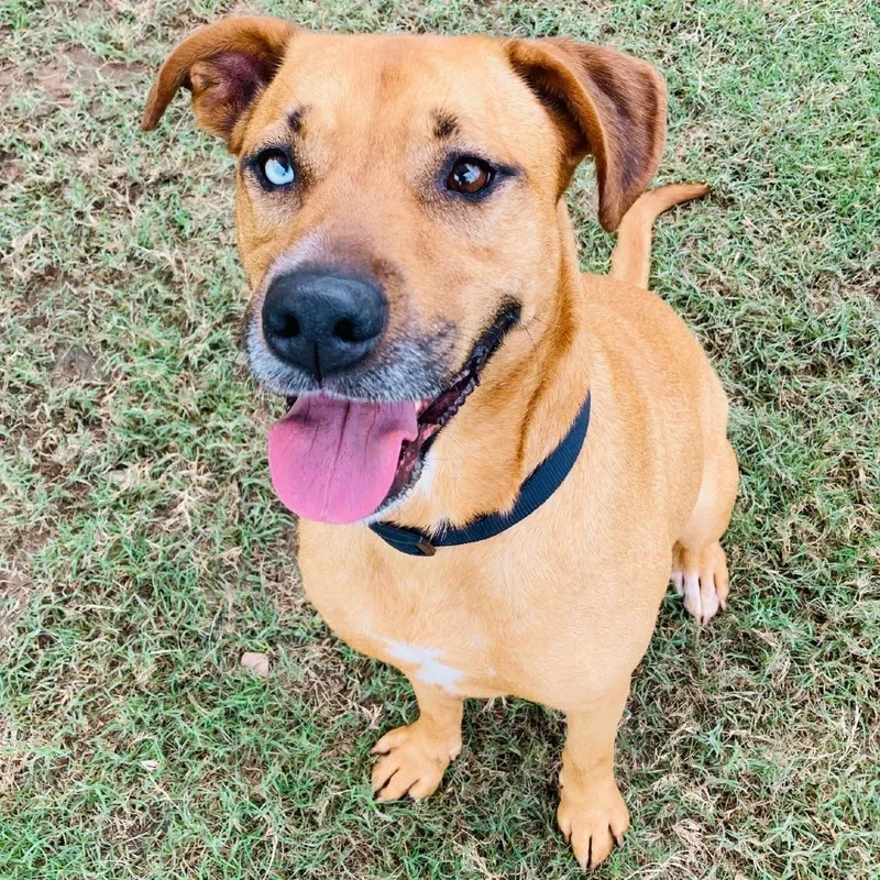 Cristina thumbnail 5