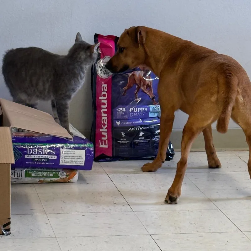 Cristina thumbnail 6