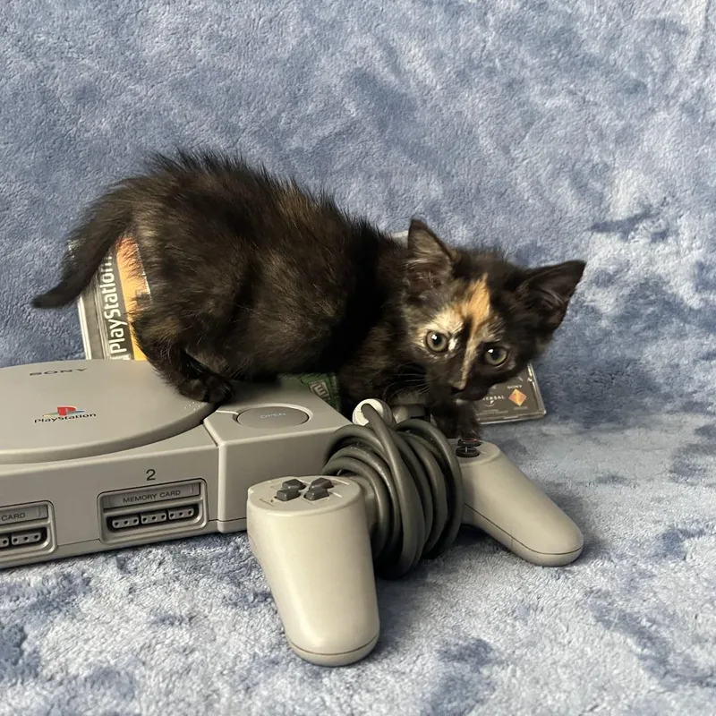 Dreamcast thumbnail 2