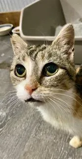 Sadie Mae thumbnail 2