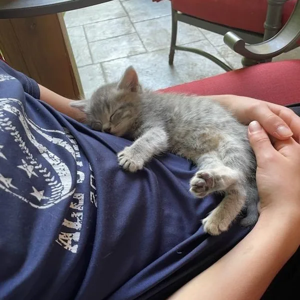 Furrdinand thumbnail 3