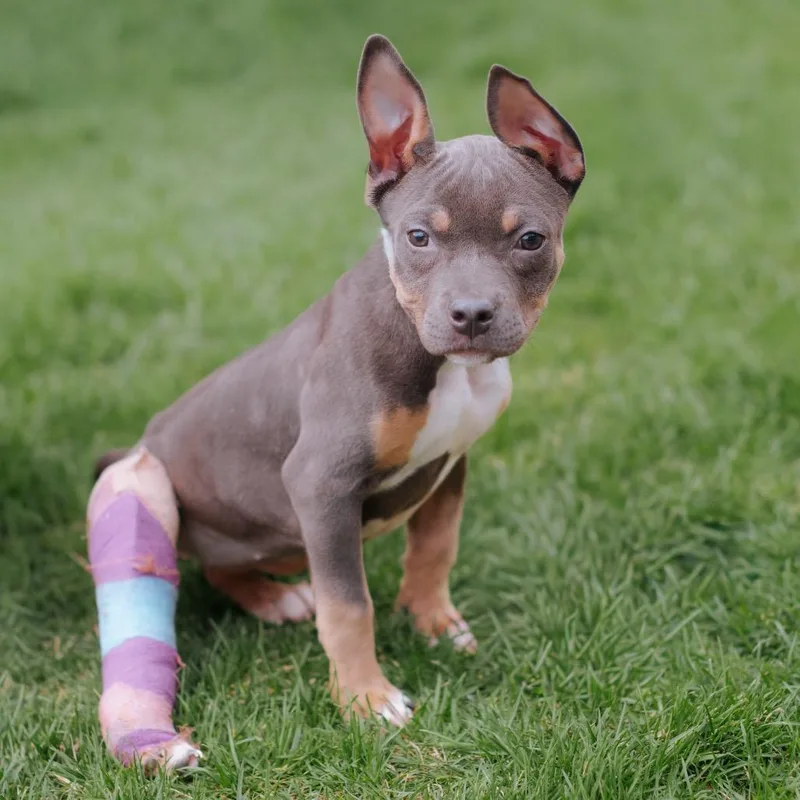 Joy Kwon thumbnail 2