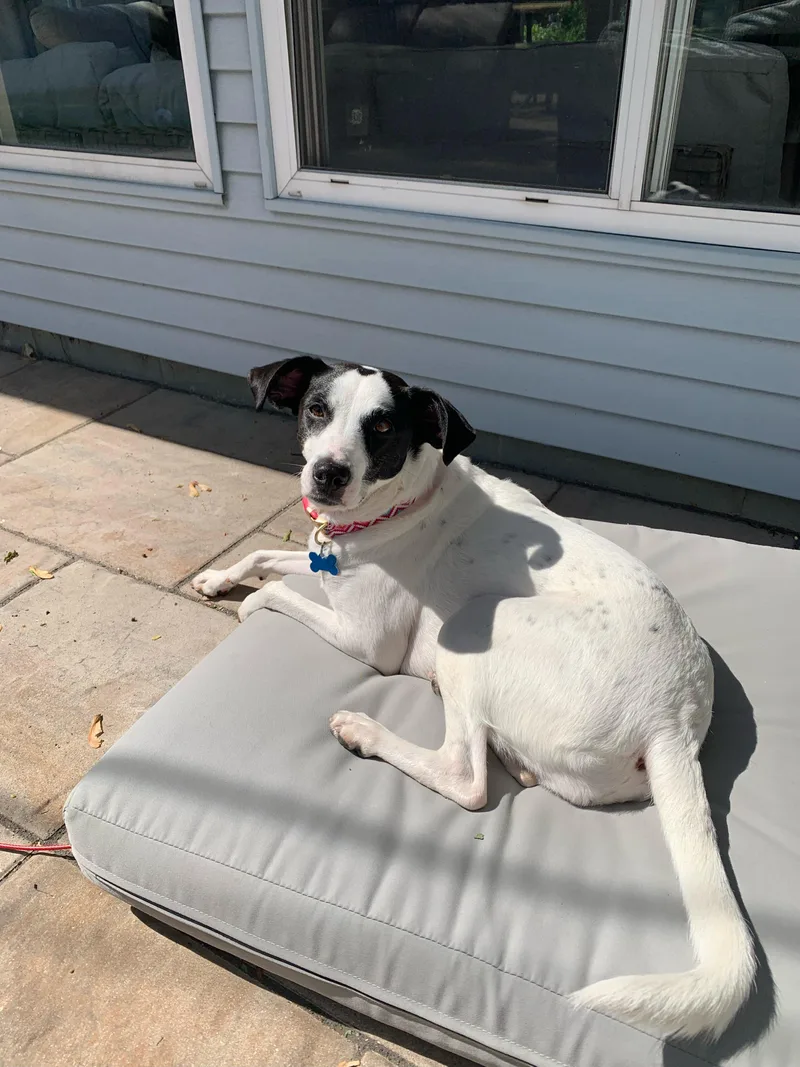 Dottie thumbnail 5