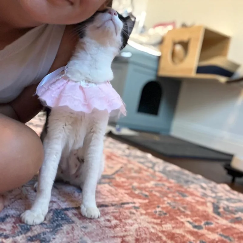 Minnie thumbnail 5