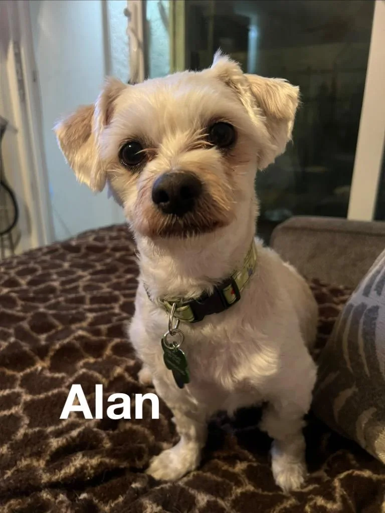 Alan  Cody thumbnail 3