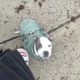 Sunny Side thumbnail 2