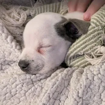 Sunny Side thumbnail 3