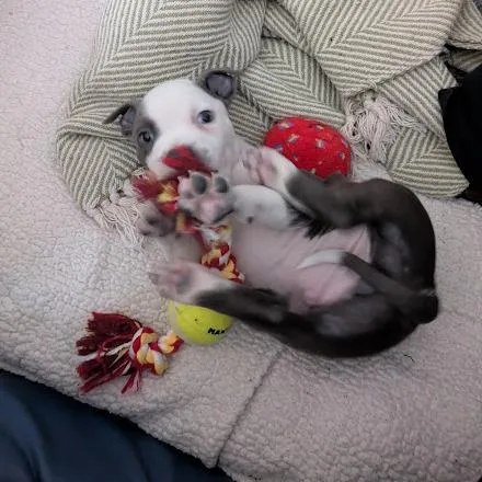 Sunny Side thumbnail 4