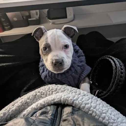 Sunny Side thumbnail 5