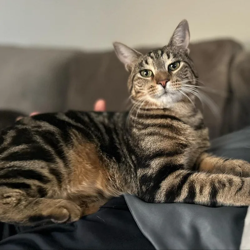 Smitty Orchard thumbnail 2