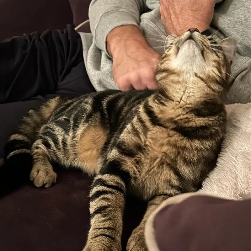 Smitty Orchard thumbnail 4