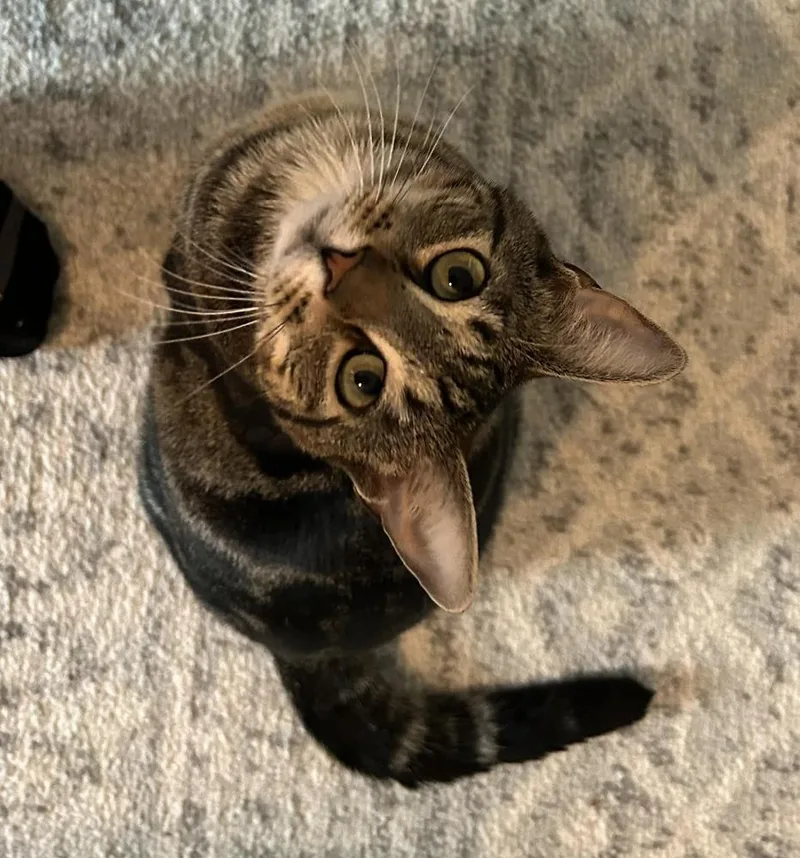 Smitty Orchard thumbnail 5