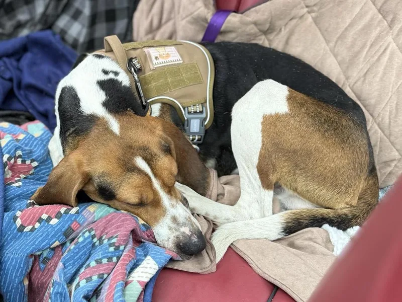 Max Walker thumbnail 3