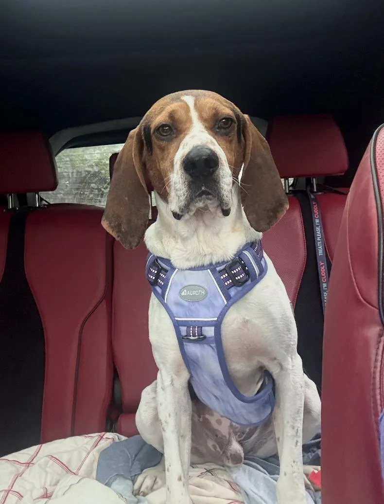 Max Walker thumbnail 5