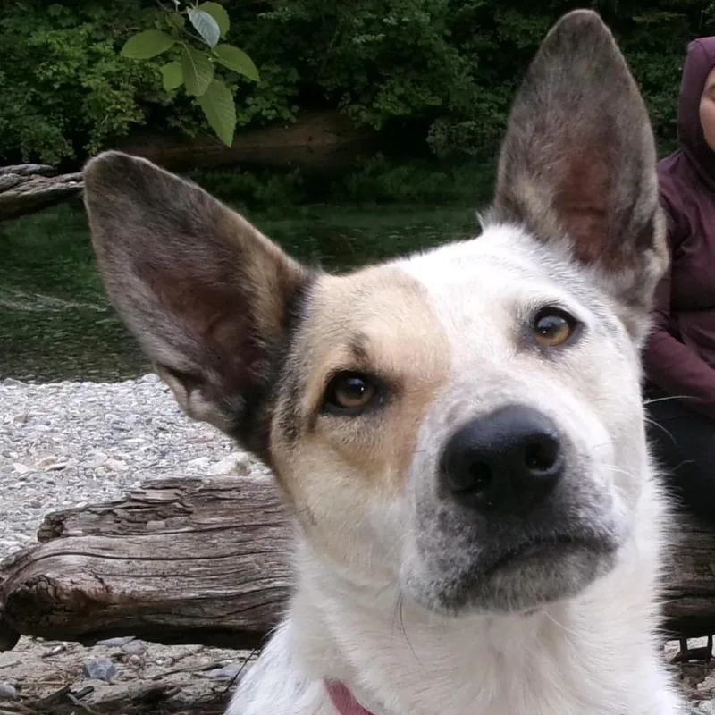 Lyla thumbnail 2