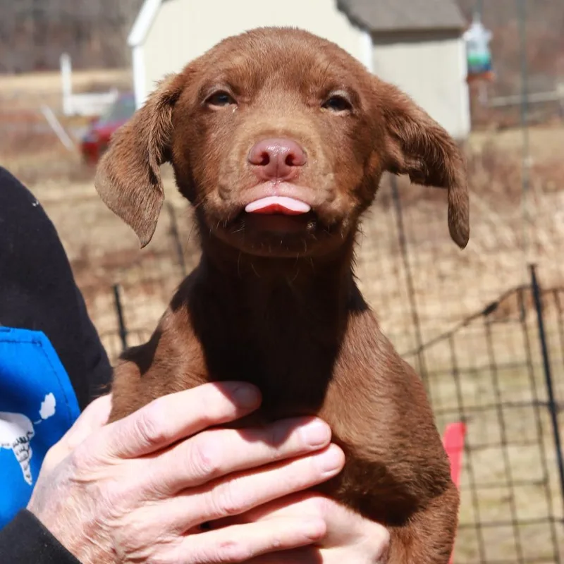 Ct Minnie thumbnail 2