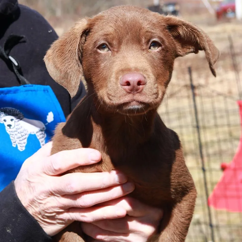 Ct Minnie thumbnail 3