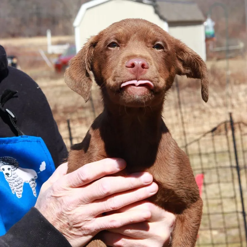 Ct Minnie thumbnail 4