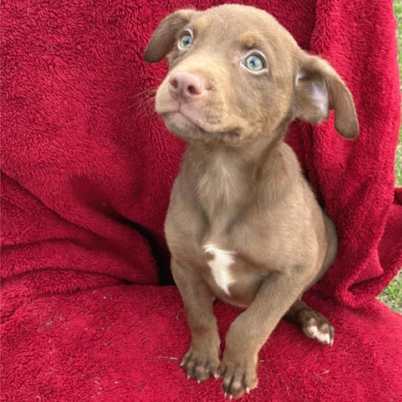 Ct Minnie thumbnail 5