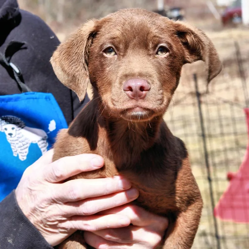 Ct Minnie thumbnail 6